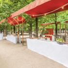 Le Bar-Restaurant le Café des marronniers à Paris 1 - L'ensemble de la terrasse